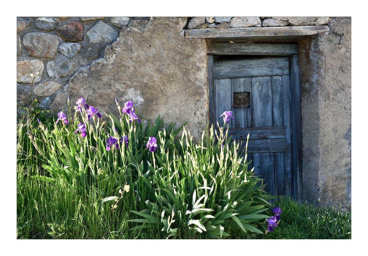 La Maison Abeil LʼArgentière-la-Bessée 外观 照片